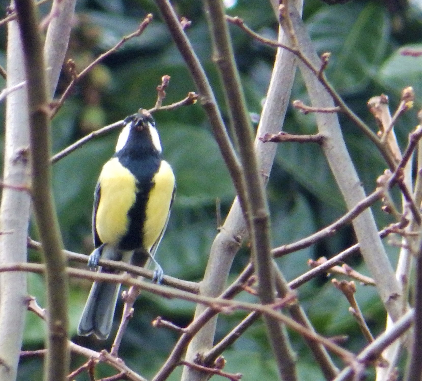 Casa Da Eira-酒店景观