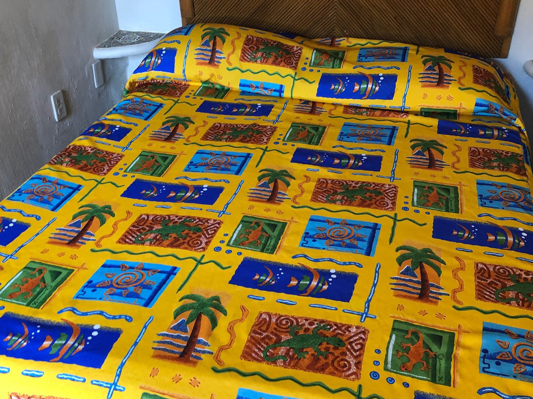 Hotel Cactus Inn主图