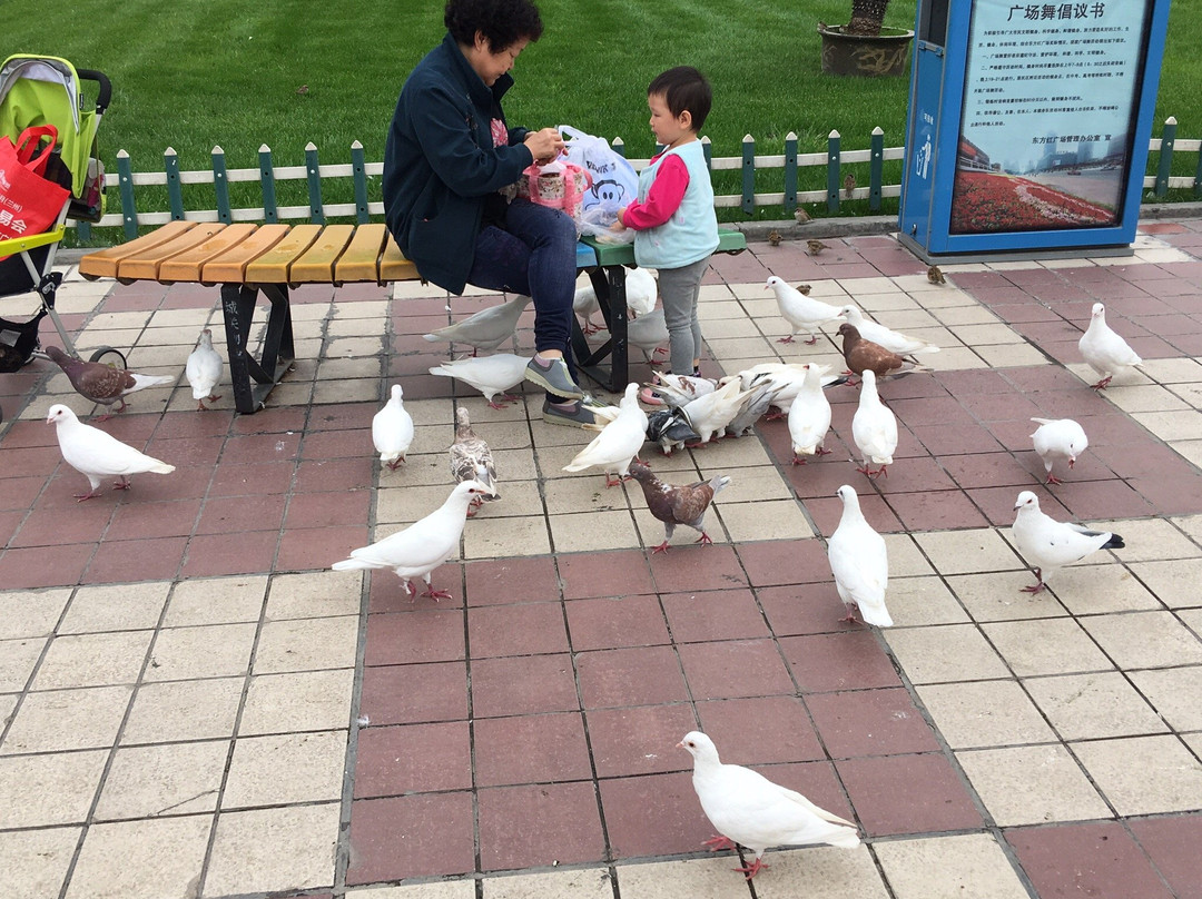 东方红广场景点图片
