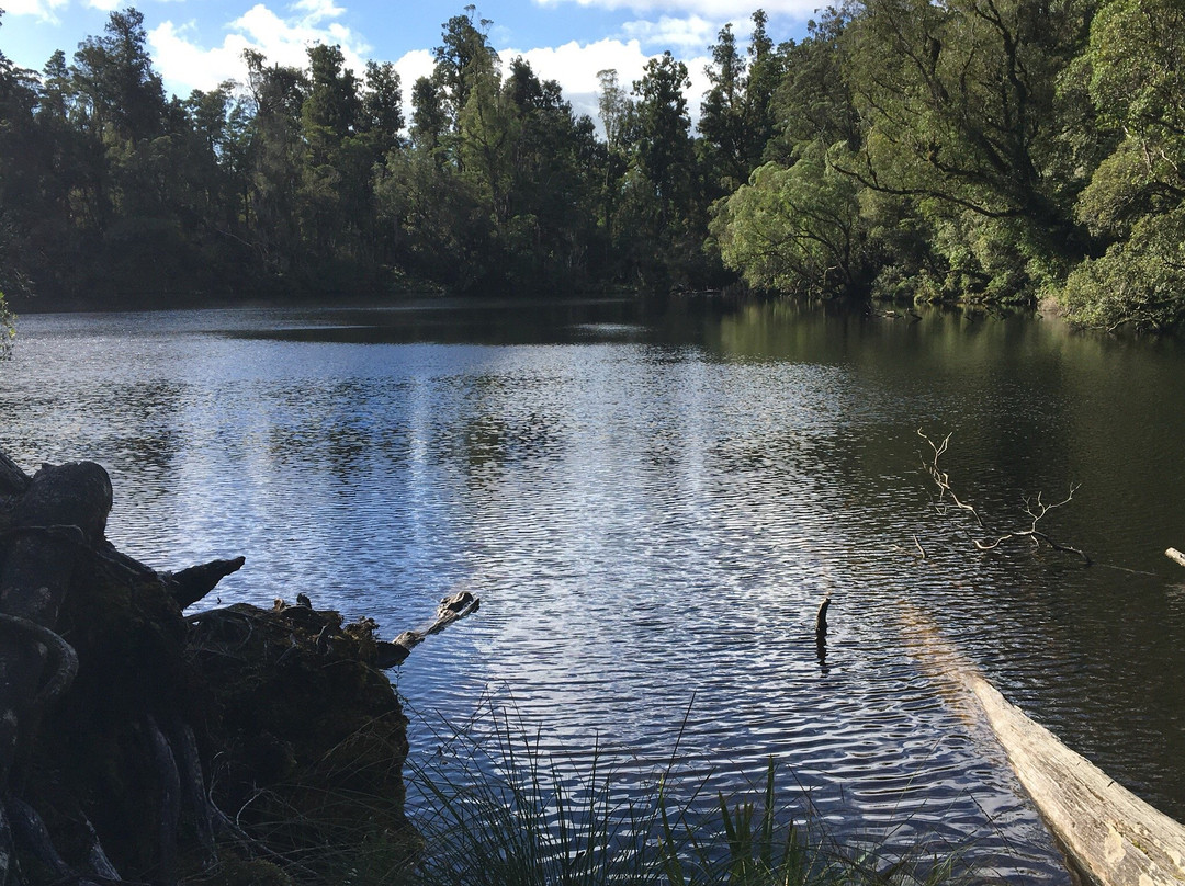 Lake Wombat Track景点图片