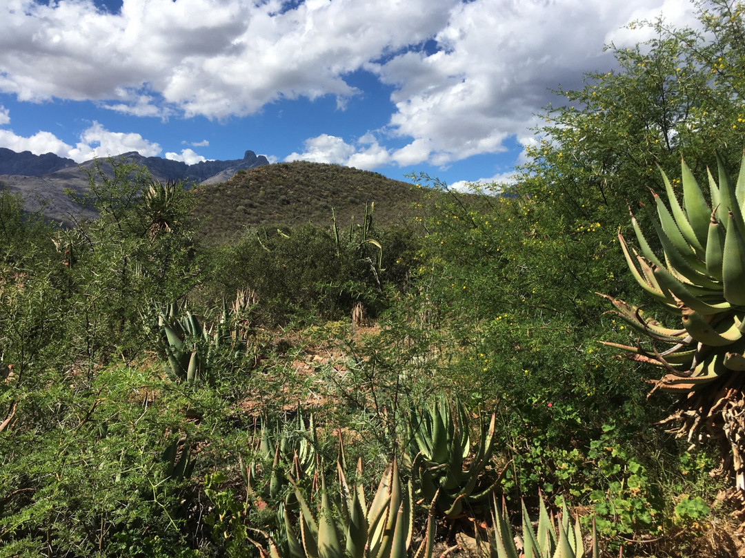 Mymering Wine & Guest Estate主图