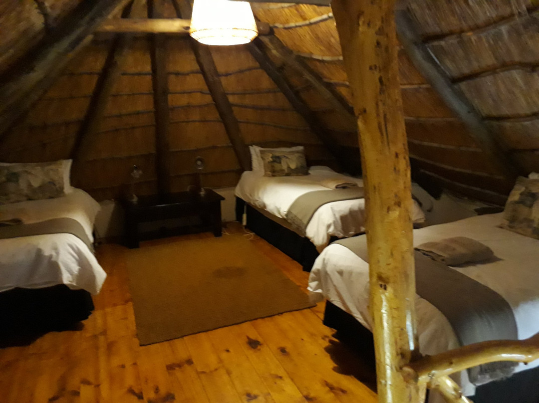 Bingelela Lodge主图