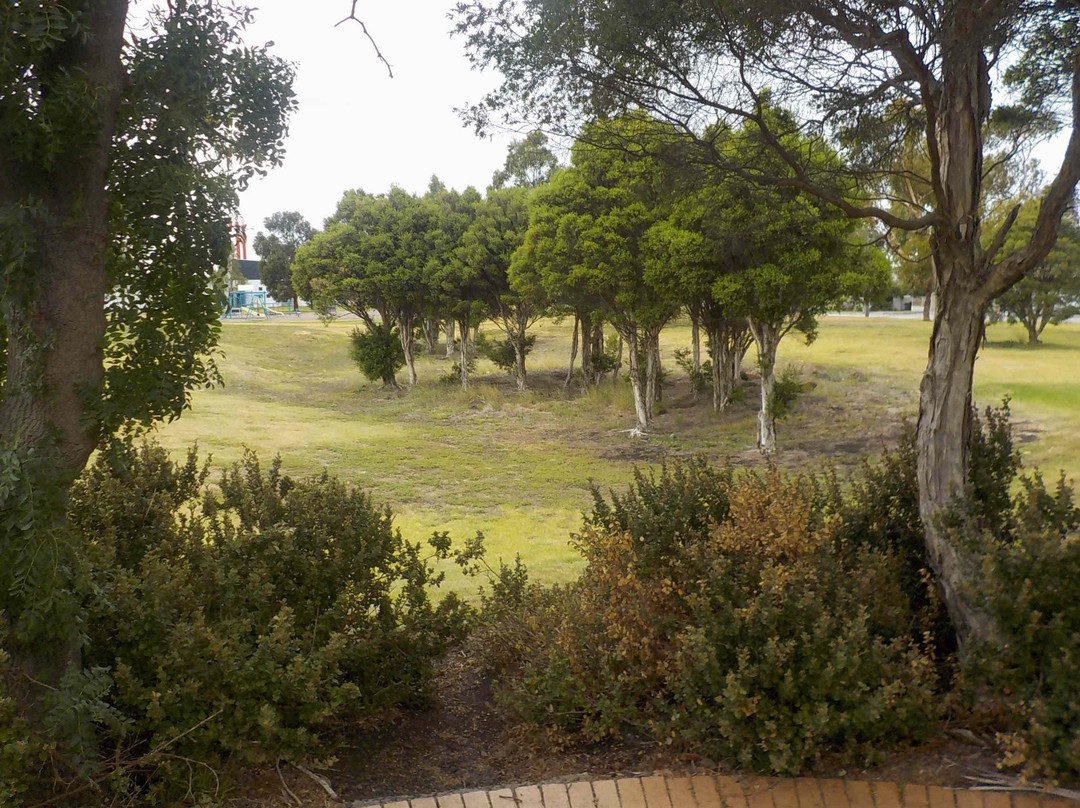 Newport Park景点图片