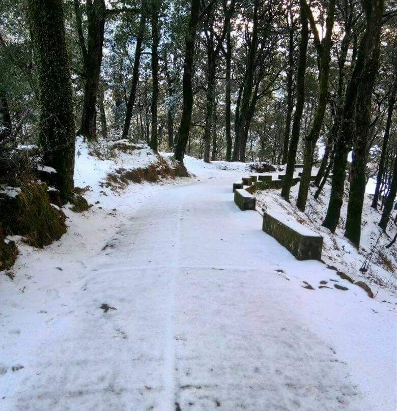 Hotel Pangot Himalayan View主图