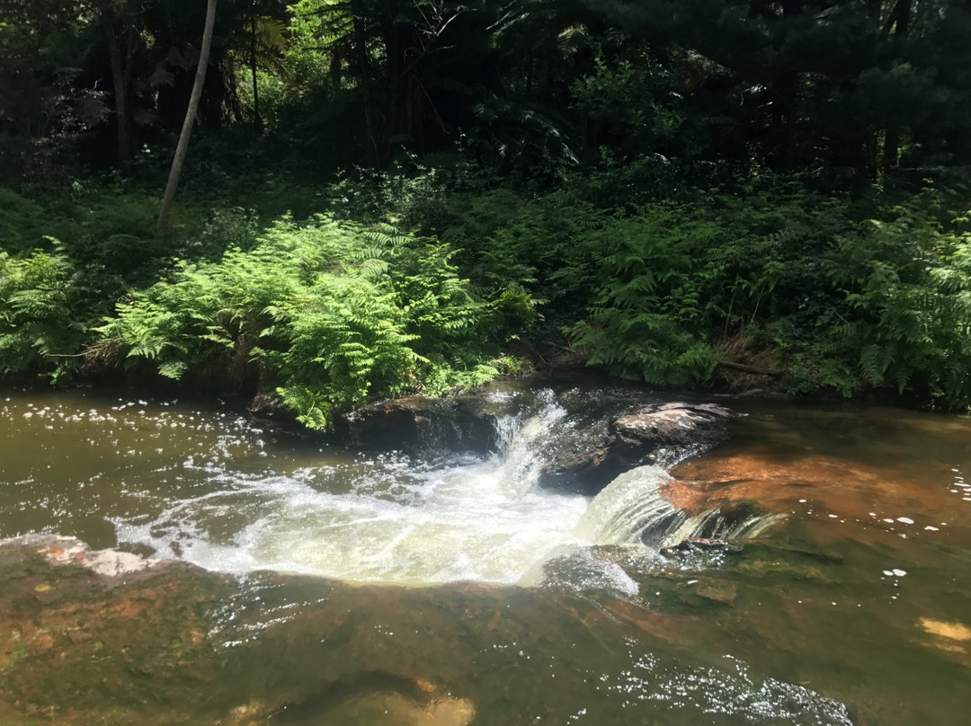 Kerosene Creek景点图片