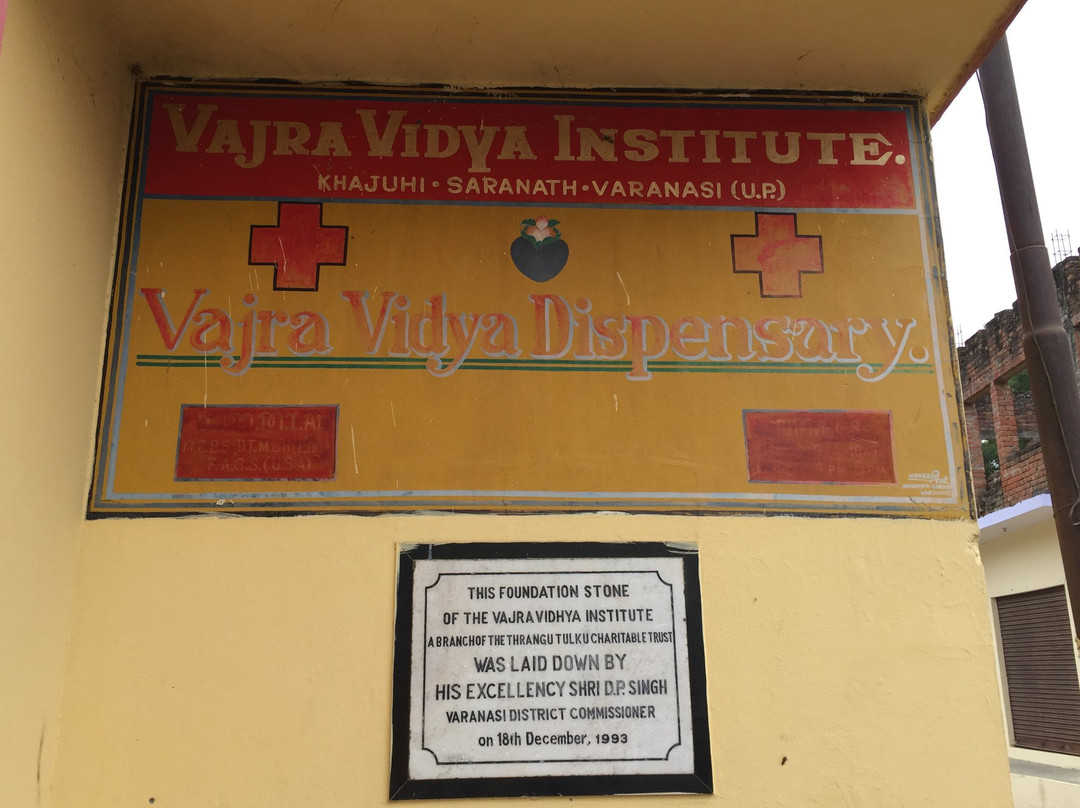 Vajra Vidya Sansthan Temple景点图片