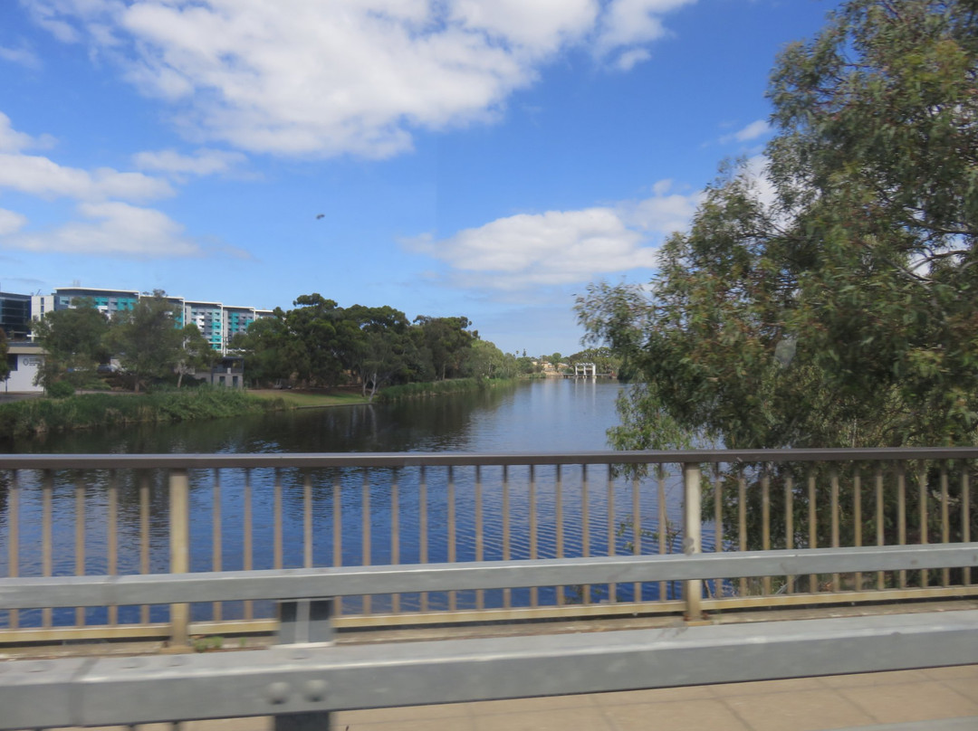 Adelaide Metro Free City Connector Bus and Tram-阿德莱德必去景点