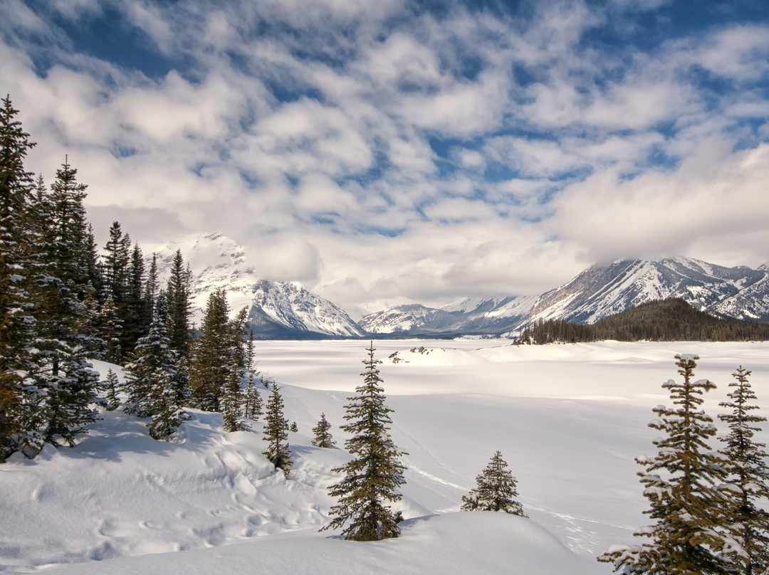 Alberta Fishing Charters-卡尔加里必去景点