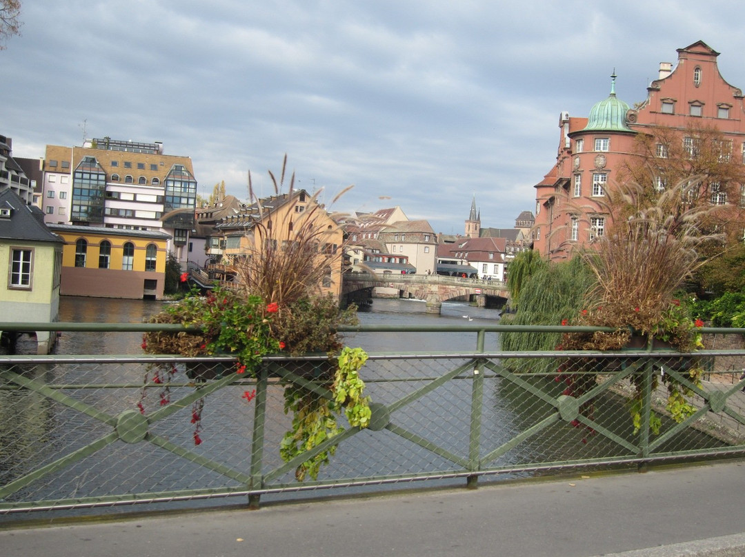 The Little tourist train of Strasbourg-斯特拉斯堡必去景点