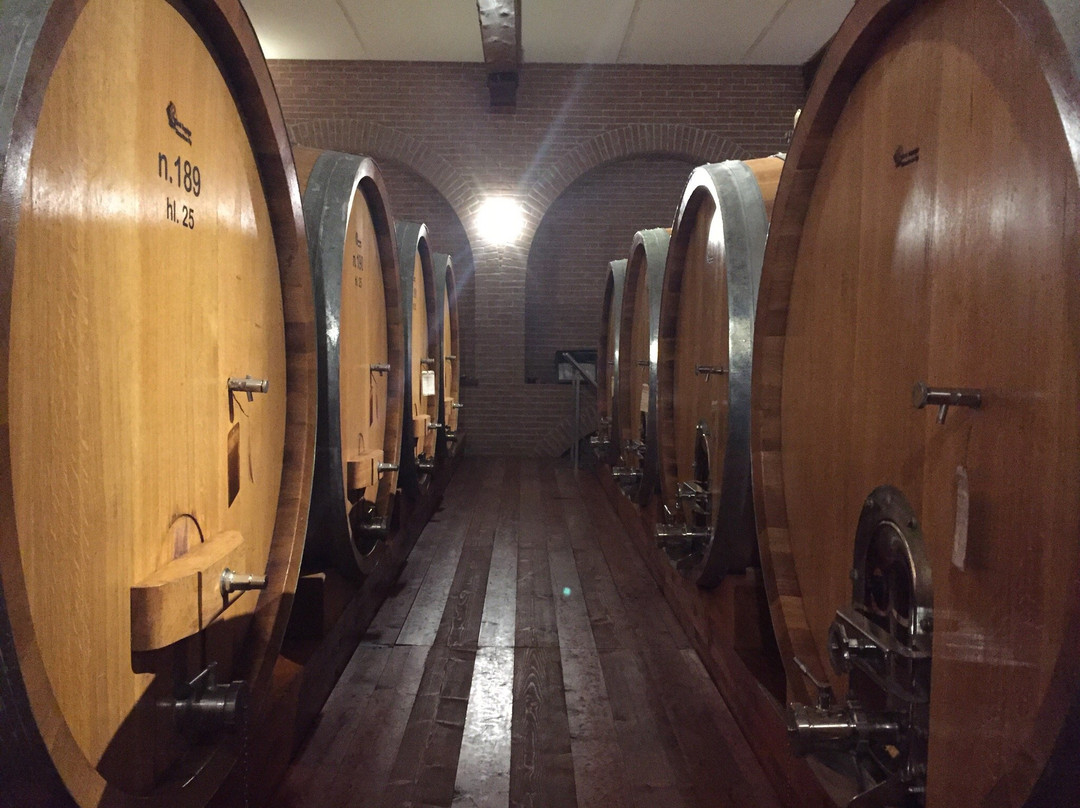Azienda Agricola Dante Rivetti景点图片