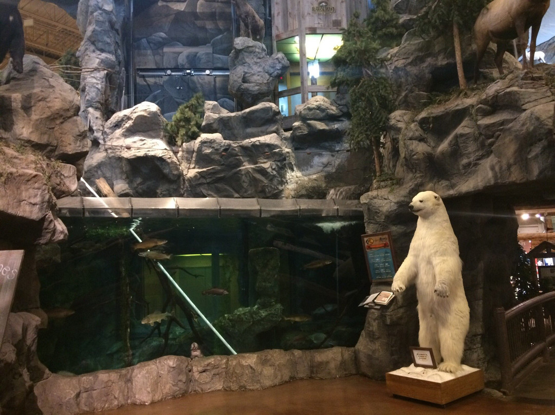Bass Pro Shop-艾迪尔必去景点