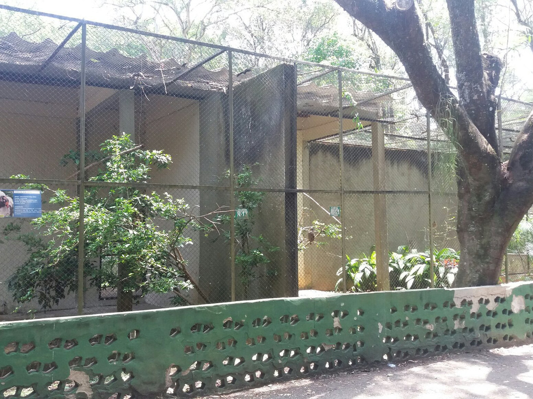 Zoologico Municipal景点图片