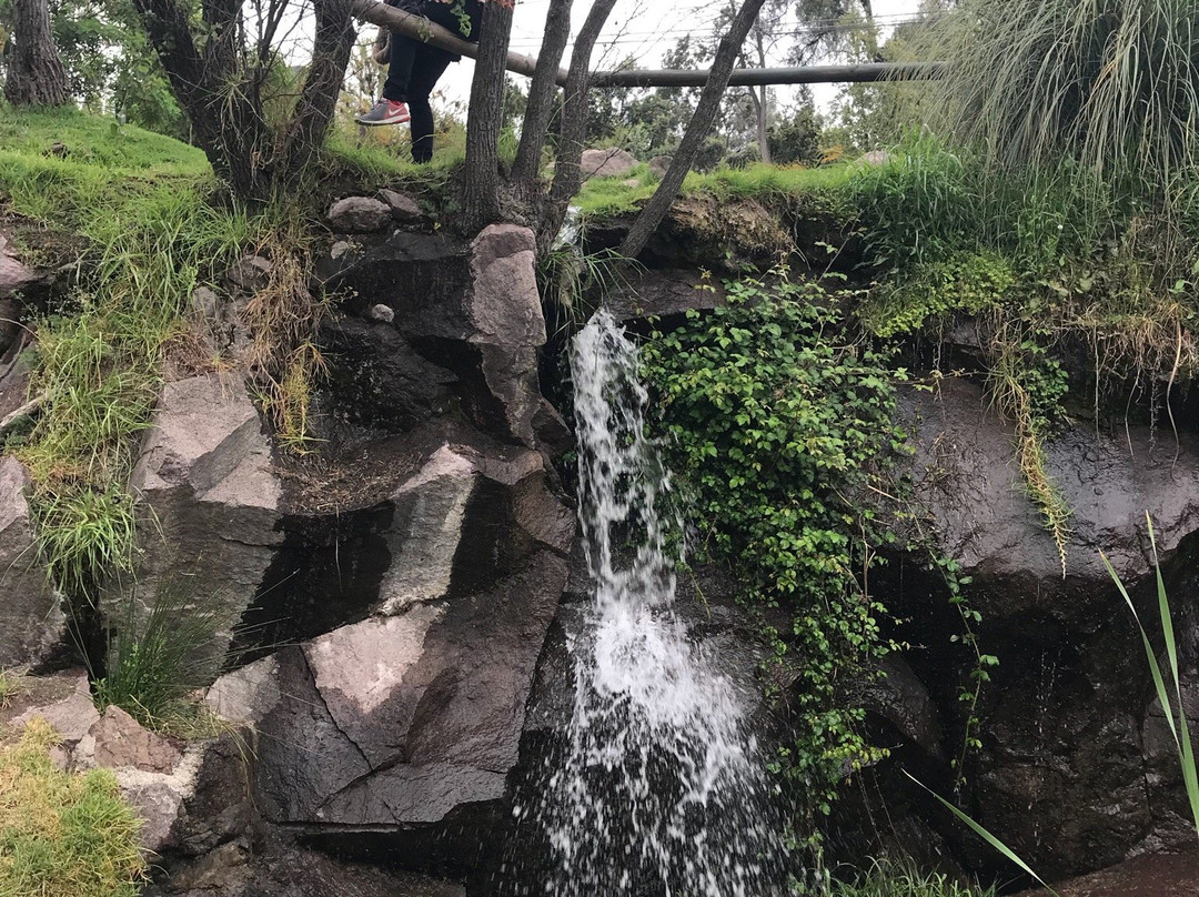Jardín Botánico Mapulemu-圣地亚哥必去景点