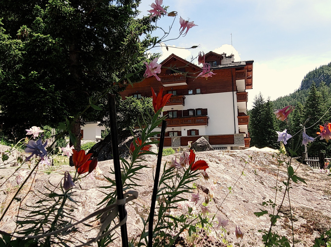 Chiesa In Valmalenco酒店住宿-Hotel Gembro