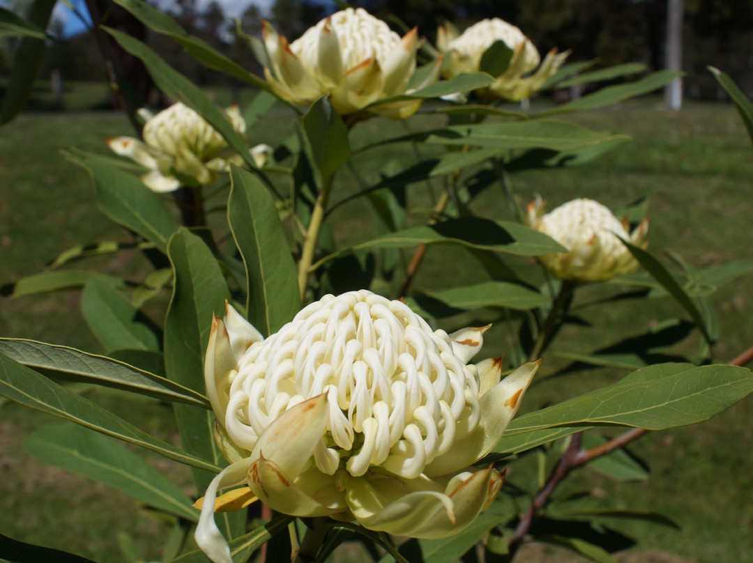 Hidden Gems of Daylesford Tours-戴尔斯福特必去景点