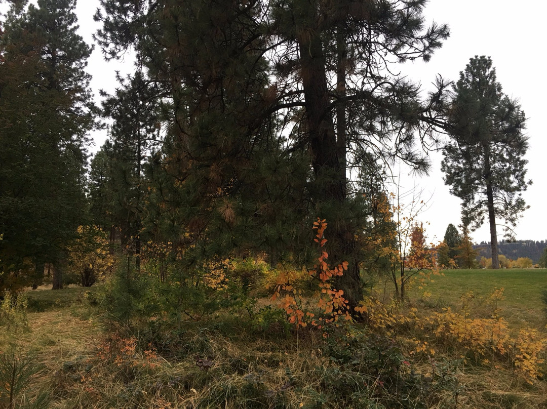 Mirabeau Meadows Park-斯波坎谷必去景点