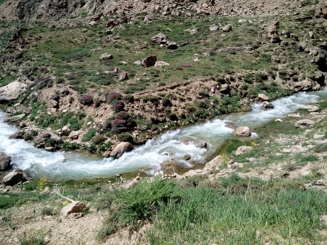 Lar National Park景点图片