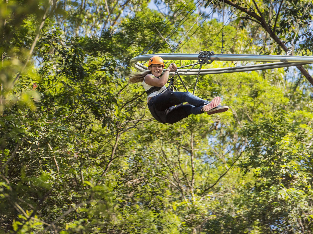 TreeTops Central Coast-怀昂溪必去景点