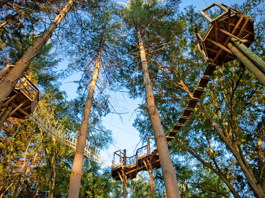 The Beanstalk Journey Zipline-Morganton必去景点