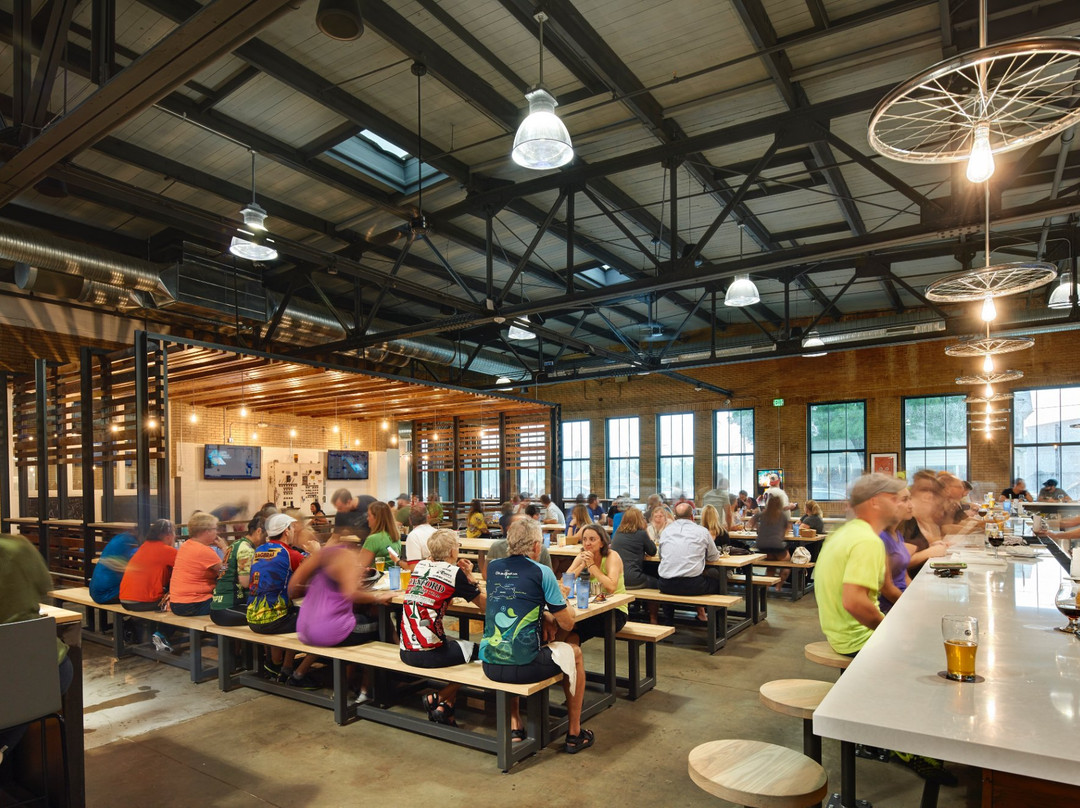 SingleSpeed Brewing