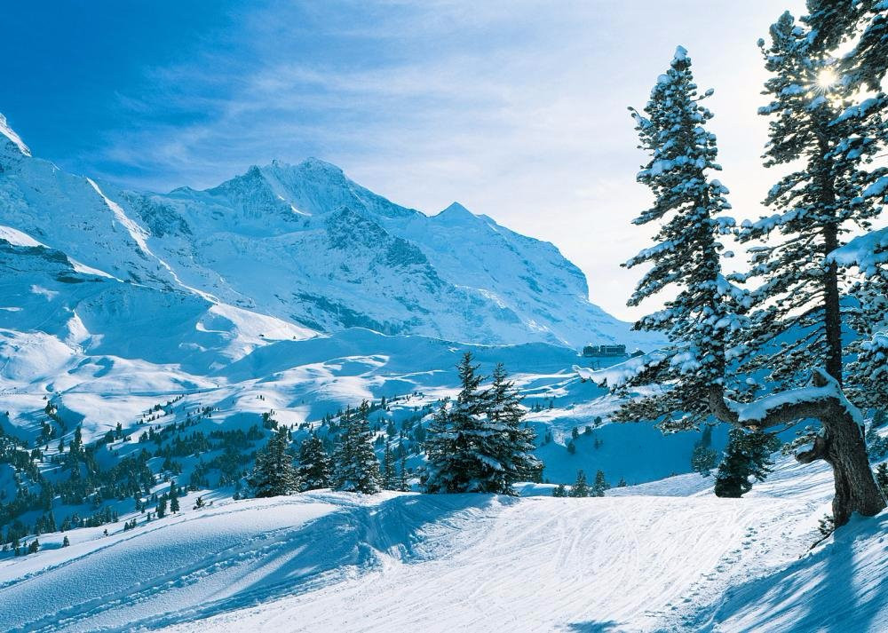 WhiteMoments Snowboarding-格林德瓦必去景点