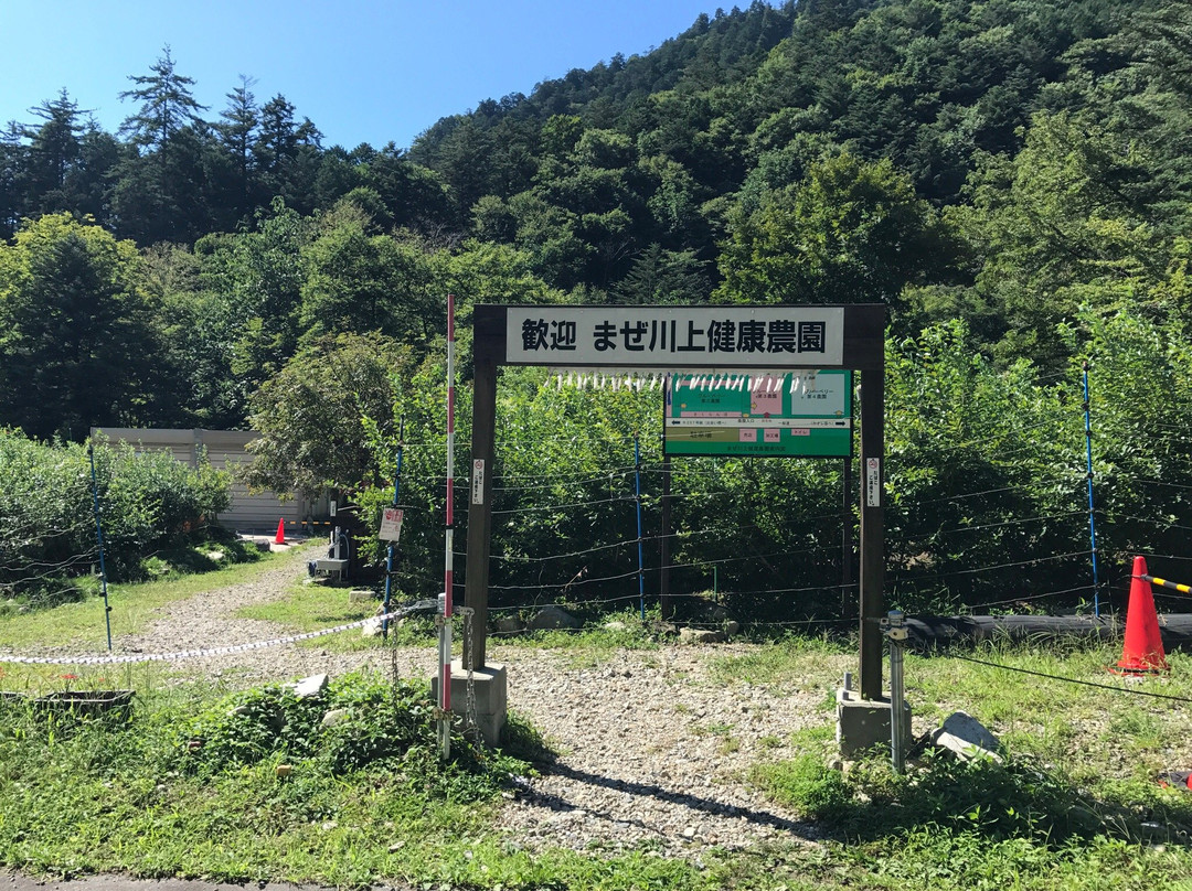 Maze Kaore Kenko Farm-下吕市必去景点