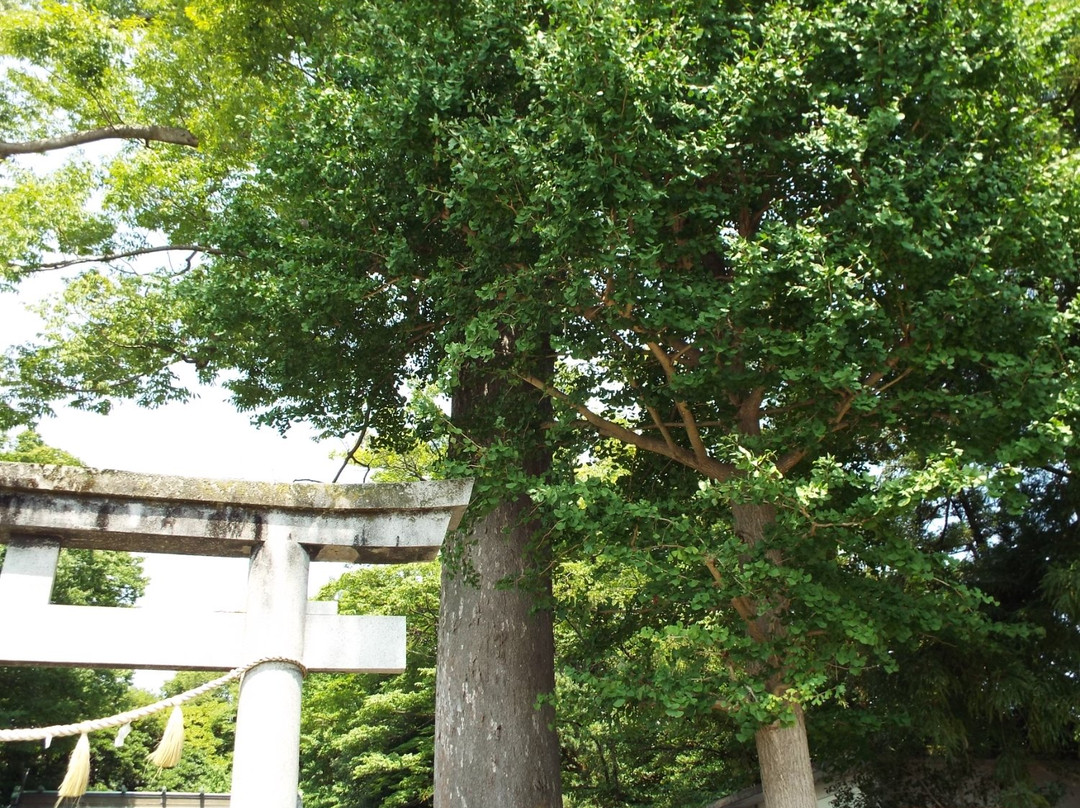 Soga Shrine-小田原市必去景点