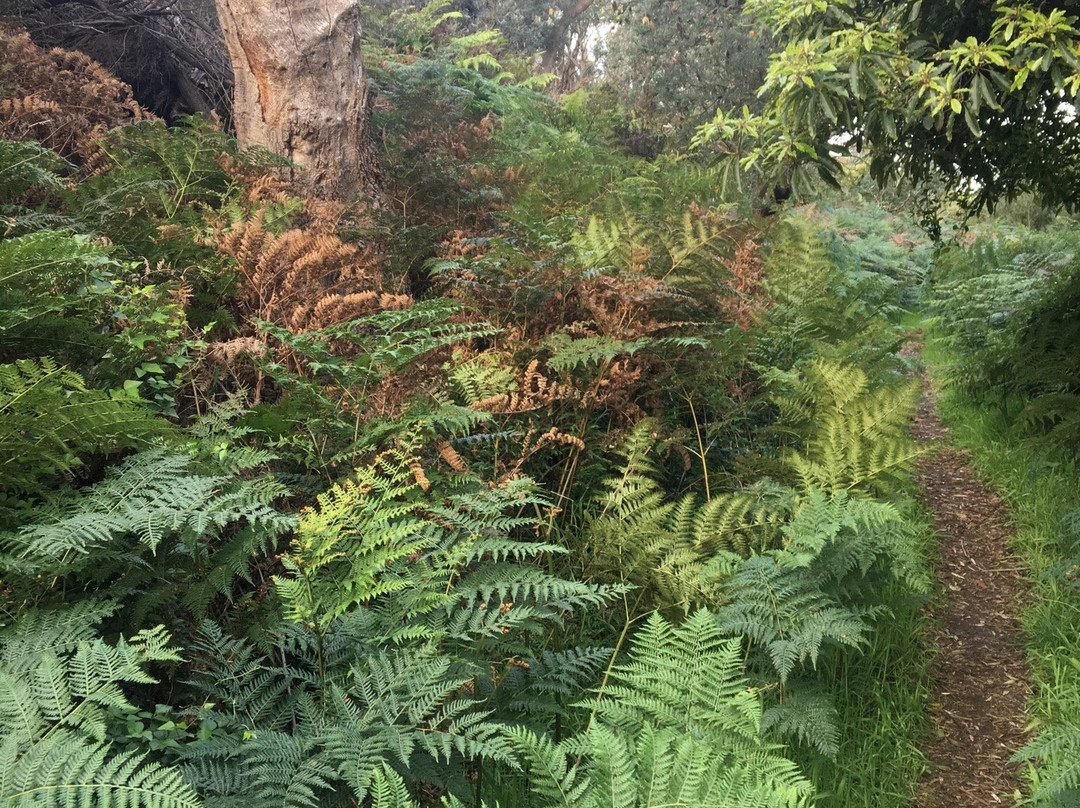 Somers Beach-Somers必去景点