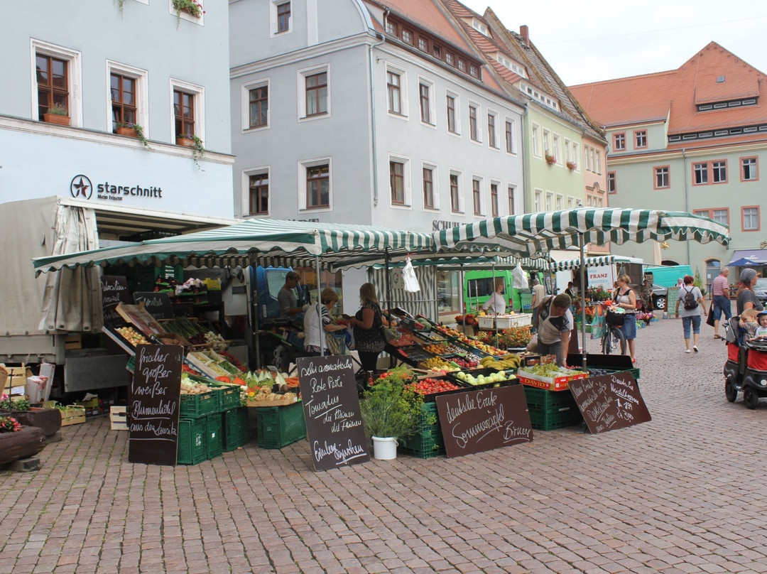 Stadtfuehrungen - Tourist Service-Pirna必去景点