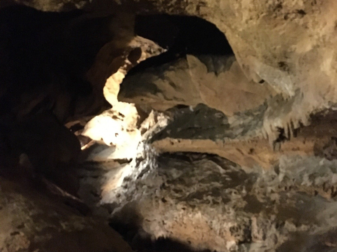 Grotte del Caudano景点图片