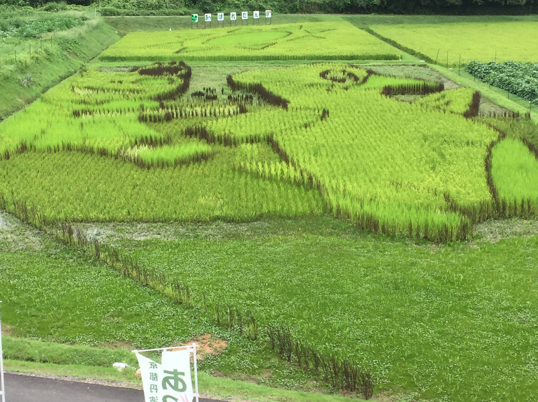 Tamba Sports Park-京丹波町必去景点