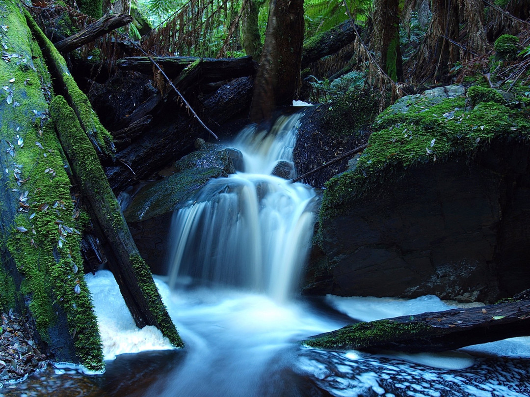 Holwell Gorge State Reserve