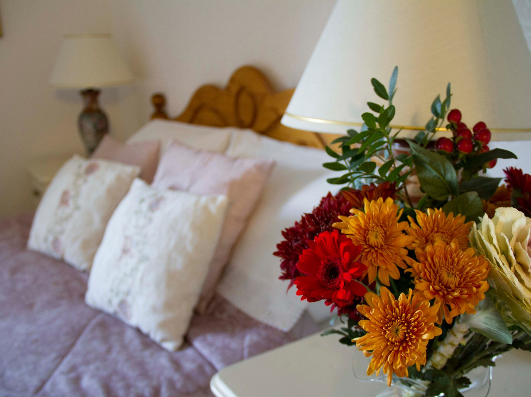 Edinbane酒店住宿-Shorefield Guest House & Self Catering