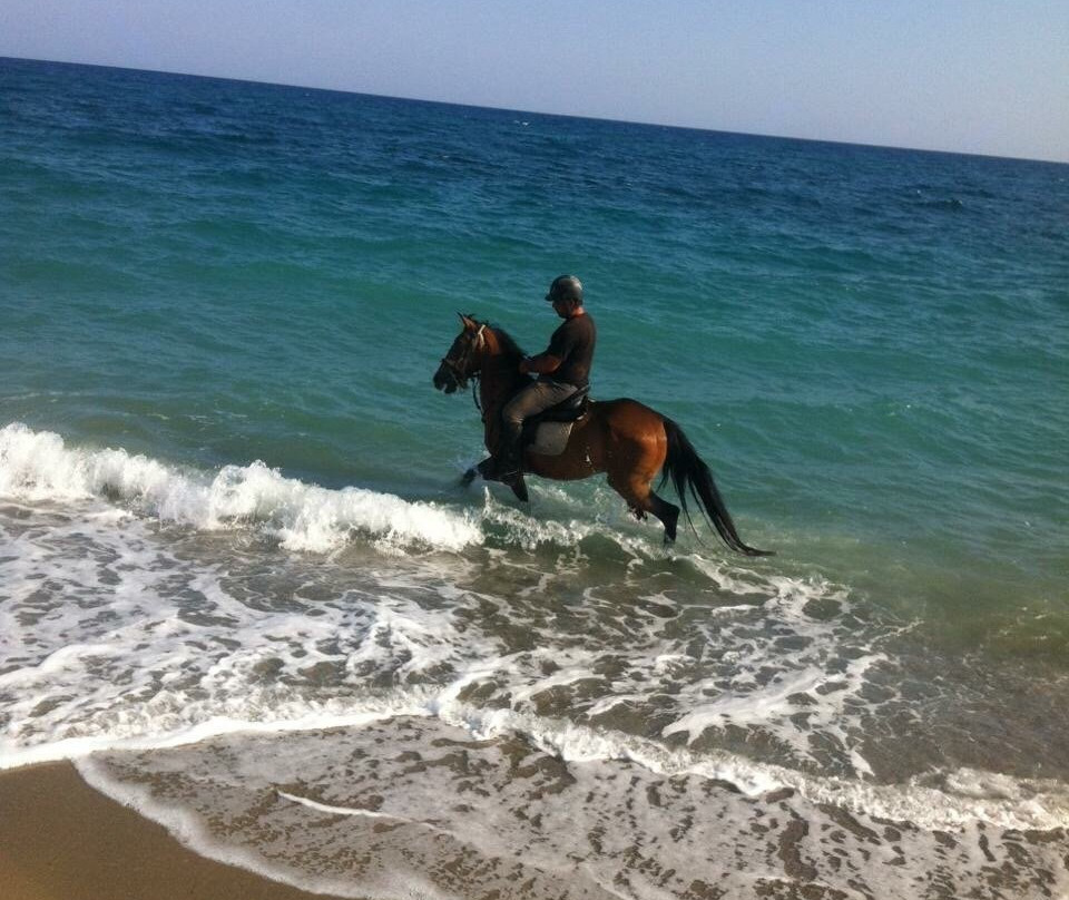 Horse Park Rethymno-Platanias必去景点