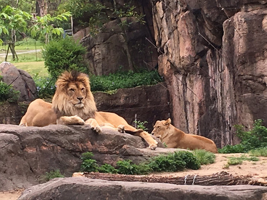 天王寺动物园-大阪市必去景点