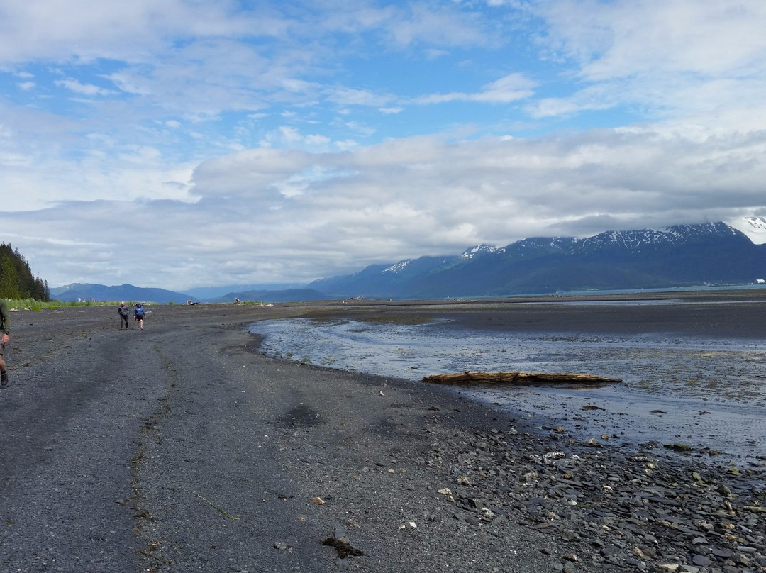 Tonsina Creek Trail-苏厄德必去景点