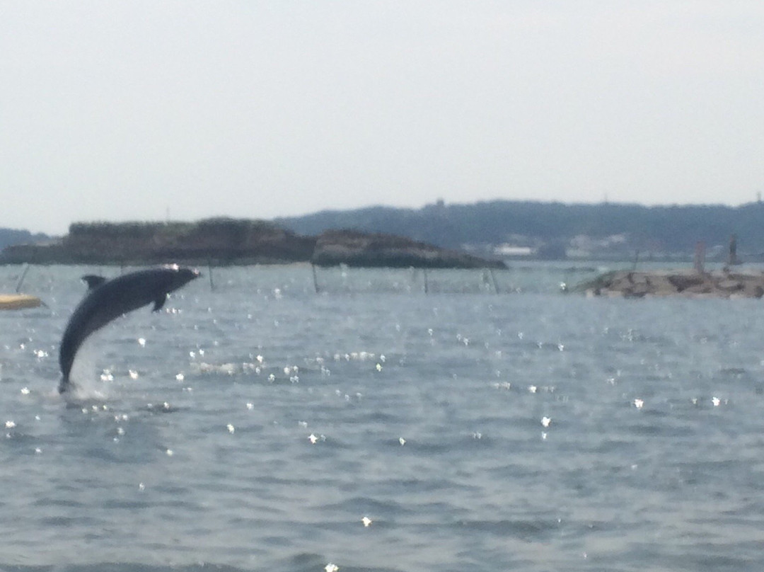 Himakajima Beach景点图片