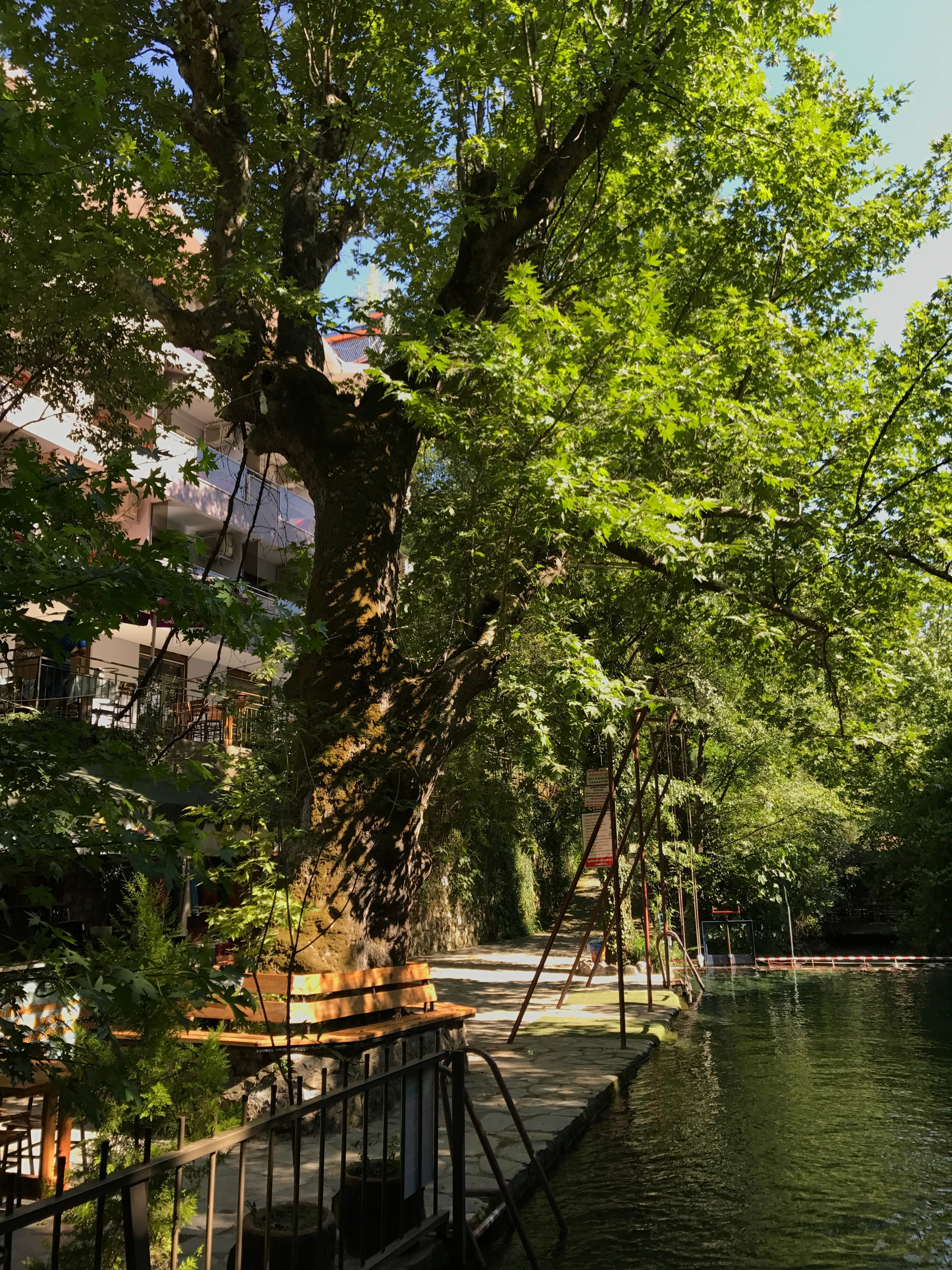 Yuvarlakçay Çınar Restaurant & Butik Otel-官方