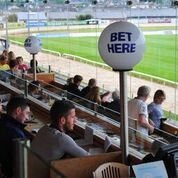 Galway Greyhound Stadium-戈尔韦必去景点