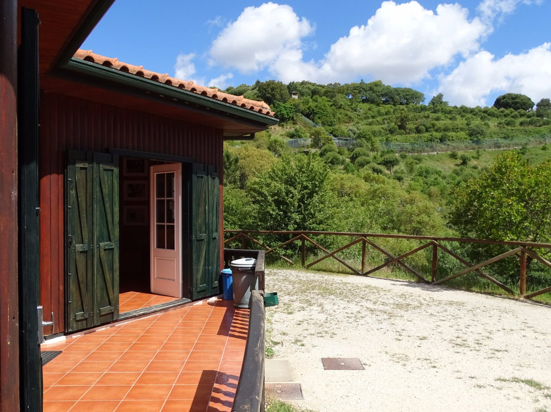 Centro De Recuperacao Do Lobo Iberico景点图片