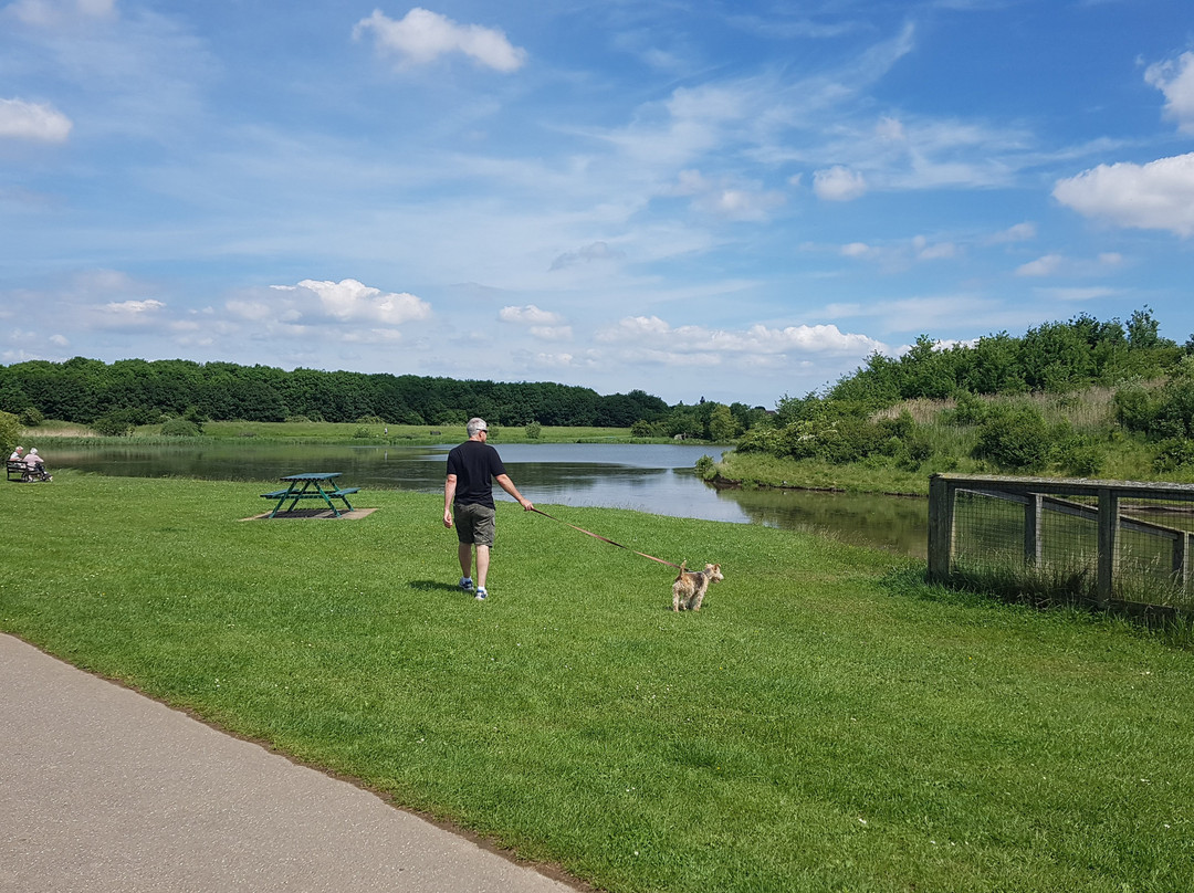 Cleethorpes Country Park景点图片