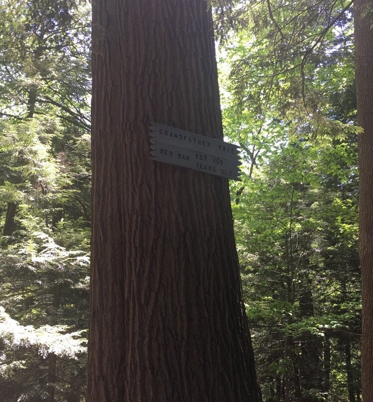 Asbury  Woods-伊利必去景点