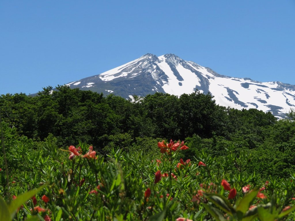 Kuwanokidai Wetland-由利本庄市必去景点