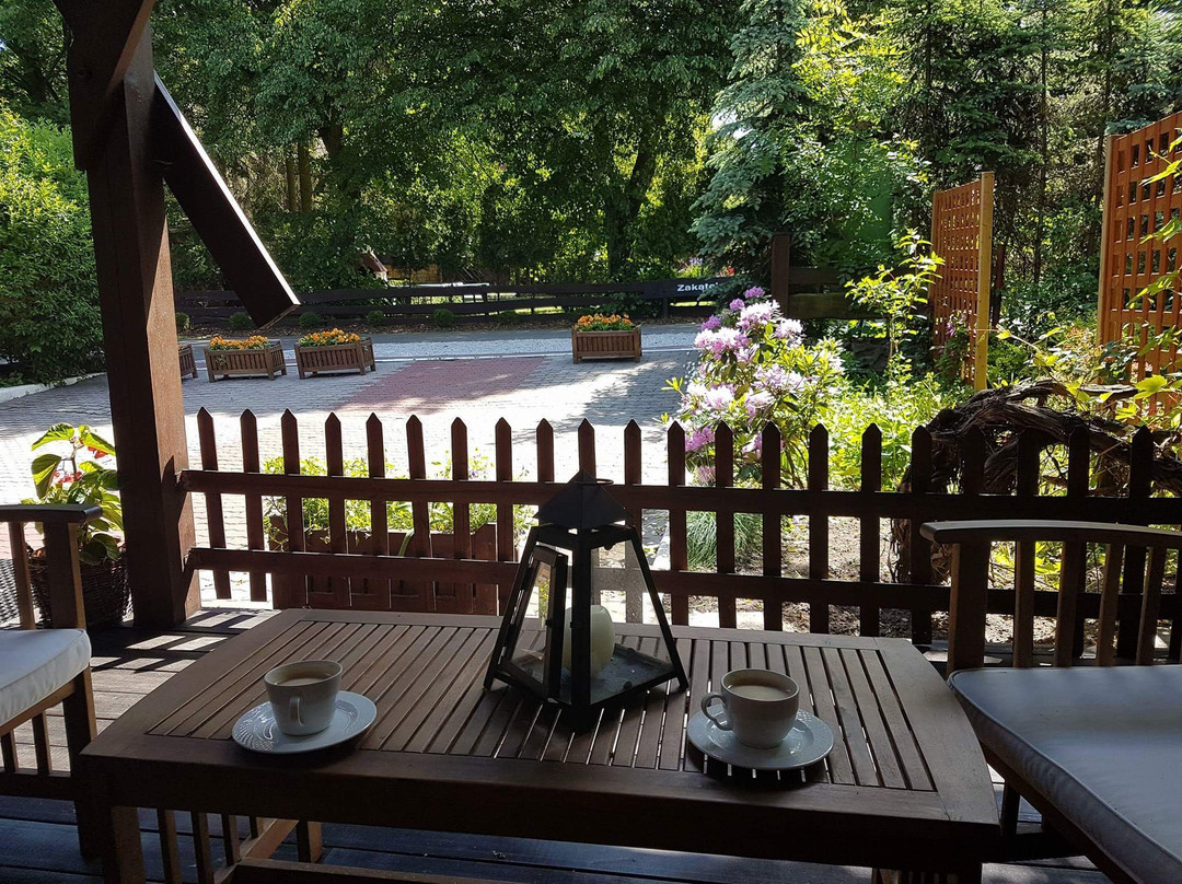 Gniewkowo酒店住宿-Zakatek Lesny