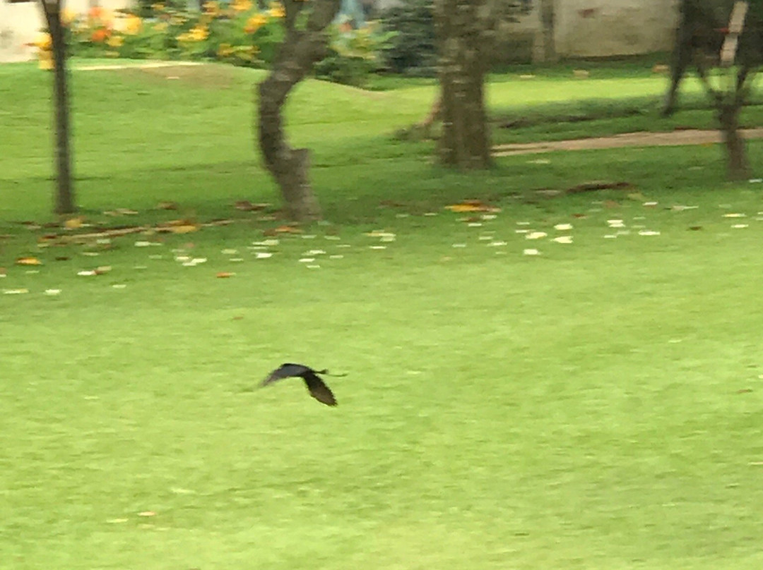 Army Golf Club景点图片