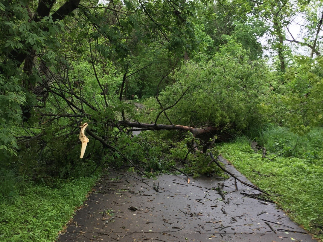 George Wyth State Park-Waterloo必去景点