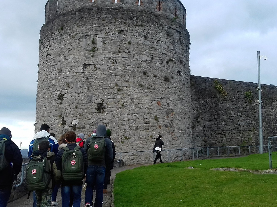 Limerick City Walking Tours-利默里克必去景点