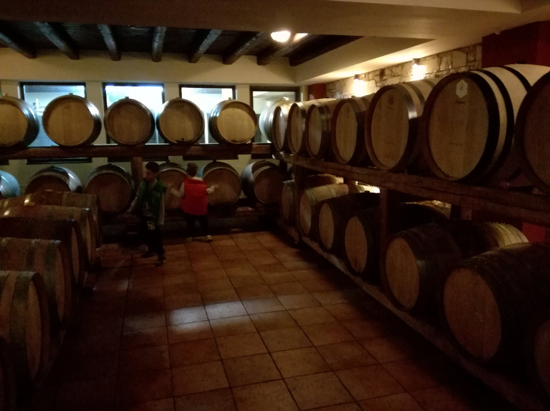 Tetramythos Wines-卡拉夫里塔必去景点