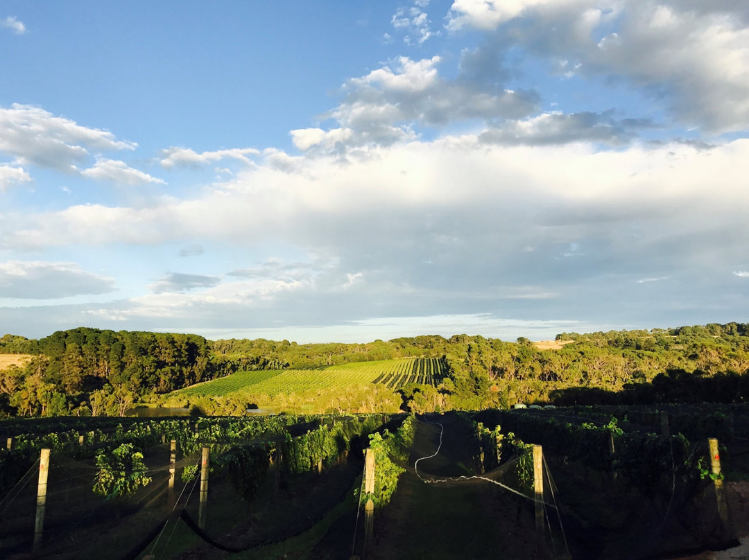 Merricks North餐馆和美食-Rare Hare at LL Vineyard
