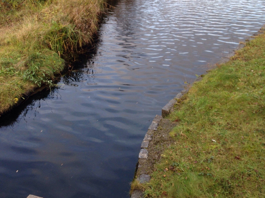 Neath &Tennant Canals Trust Boat Trips景点图片